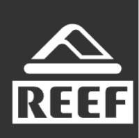 Reef Dynamic