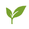  Caraway Tea Company – Coupons, Promo Codes & Special Offers (0)