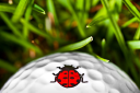 Golf Dotz – Cashback, Rebates & Rewards