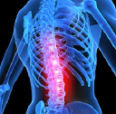 Back Support Systems – Cashback, Rebates & Rewards