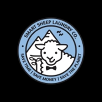 Smart Sheep Dryer Balls