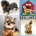  Animal Den – Coupons, Promo Codes & Special Offers (15)