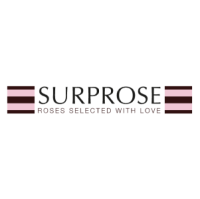 Surprose.nl