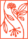 Root Logic