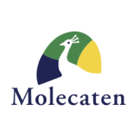 Molecaten NL