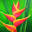 Jardin Tropic FR – Cashback, Rebates & Rewards