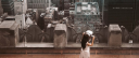 Expedia FI – Cashback, Rebates & Rewards