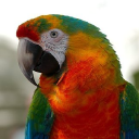 Birdie Boutique – Cashback, Rebates & Rewards