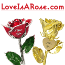 Love is a Rose