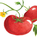 Peaceful Valley Farm Supply – Cashback, Rebates & Rewards
