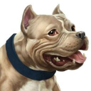 BullyMax – Cashback, Rebates & Rewards