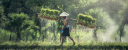 Chinese Herbs Direct – Coupons, Promo Codes & Special Offers (0)