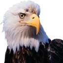 Eagle America – Cashback, Rebates & Rewards