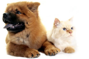 Pets-Megastore